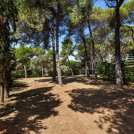 Clara By Perle Di Puglia Villa